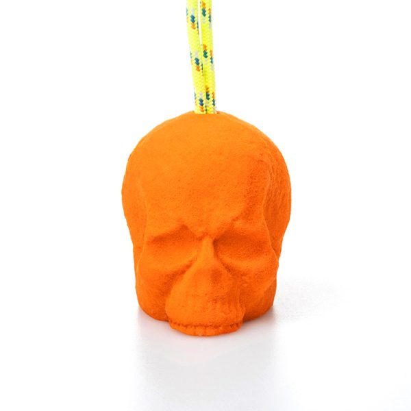 SKULL - PRESA DE OCR