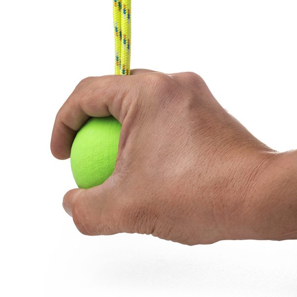 BALL III - PRESA DE OCR - Imagen 2