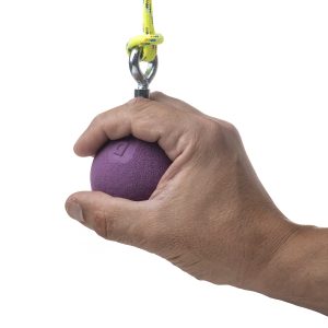 BALL II - PRESA DE OCR
