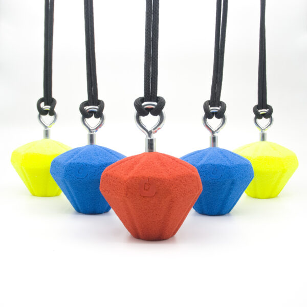 DIAMOND-PRESA-DE-OCR-VISTA-CANARY-HOLDS