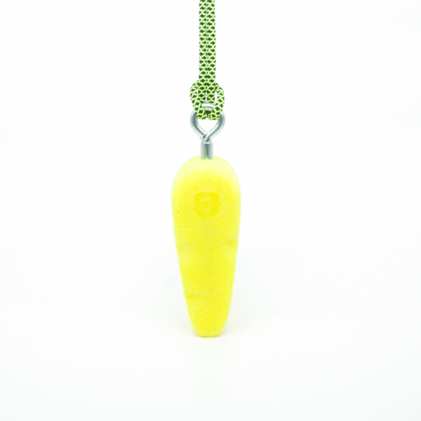 CHEESE-PRESA-DE-OCR-VISTA-LATERAL-CANARY-HOLDS