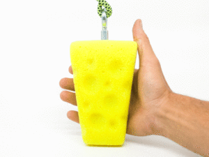 CHEESE-PRESA-DE-OCR-VISTA-FRONTAL-CANARY-HOLDS